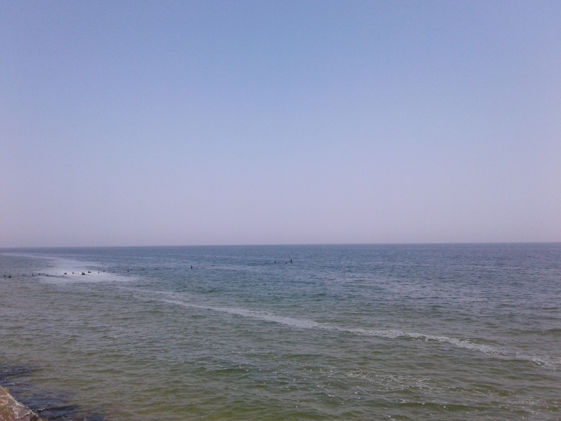 На побережье Одессы заметили странную пену (фото и видео)