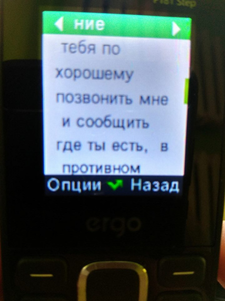 "Обіцяє його "закрити у дурдомі": під Харковом прийомна мати б'є дітей