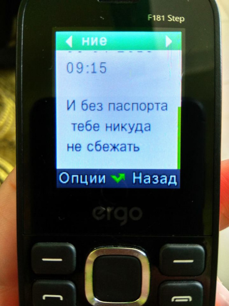"Обіцяє його "закрити у дурдомі": під Харковом прийомна мати б'є дітей