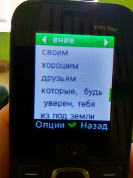 "Обіцяє його "закрити у дурдомі": під Харковом прийомна мати б'є дітей