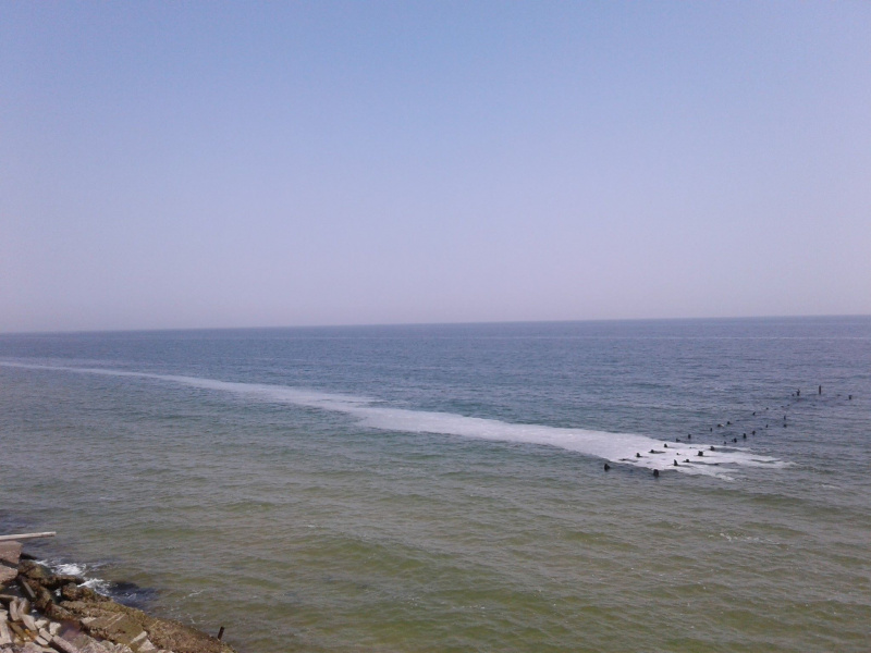 На побережье Одессы заметили странную пену (фото и видео)