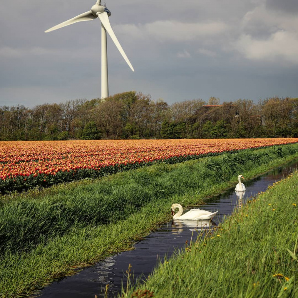 Евротуры и релакс по-турецки: где и как проводят "маевку" украинские звезды (фото)