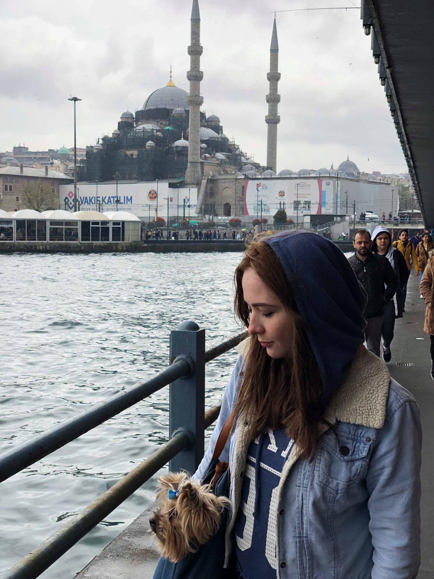 В отпуск с любимым питомцем: история блогера о путешествии в Стамбул с йоркширским терьером