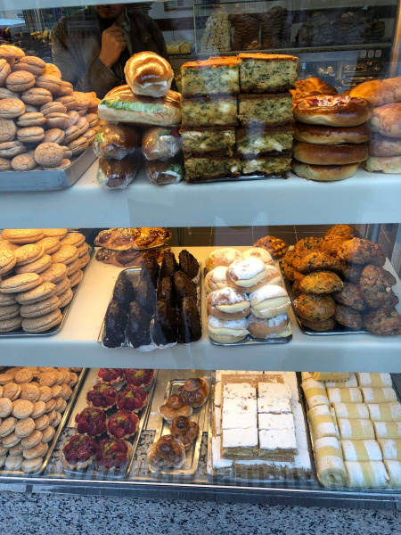 В отпуск с любимым питомцем: история блогера о путешествии в Стамбул с йоркширским терьером