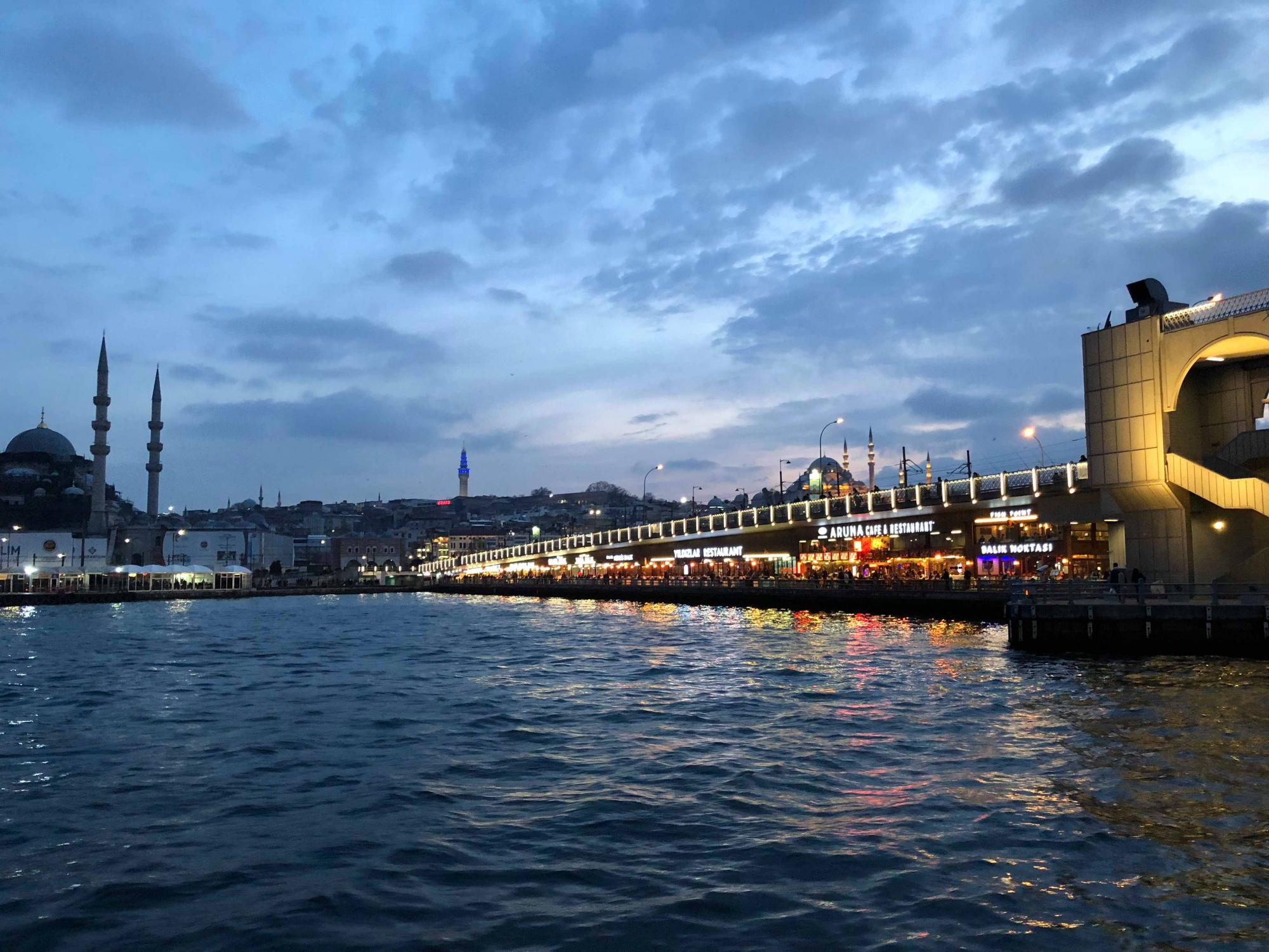 В отпуск с любимым питомцем: история блогера о путешествии в Стамбул с йоркширским терьером