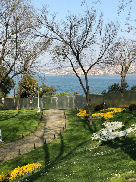 В отпуск с любимым питомцем: история блогера о путешествии в Стамбул с йоркширским терьером