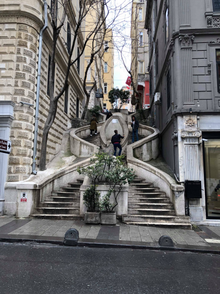 В отпуск с любимым питомцем: история блогера о путешествии в Стамбул с йоркширским терьером