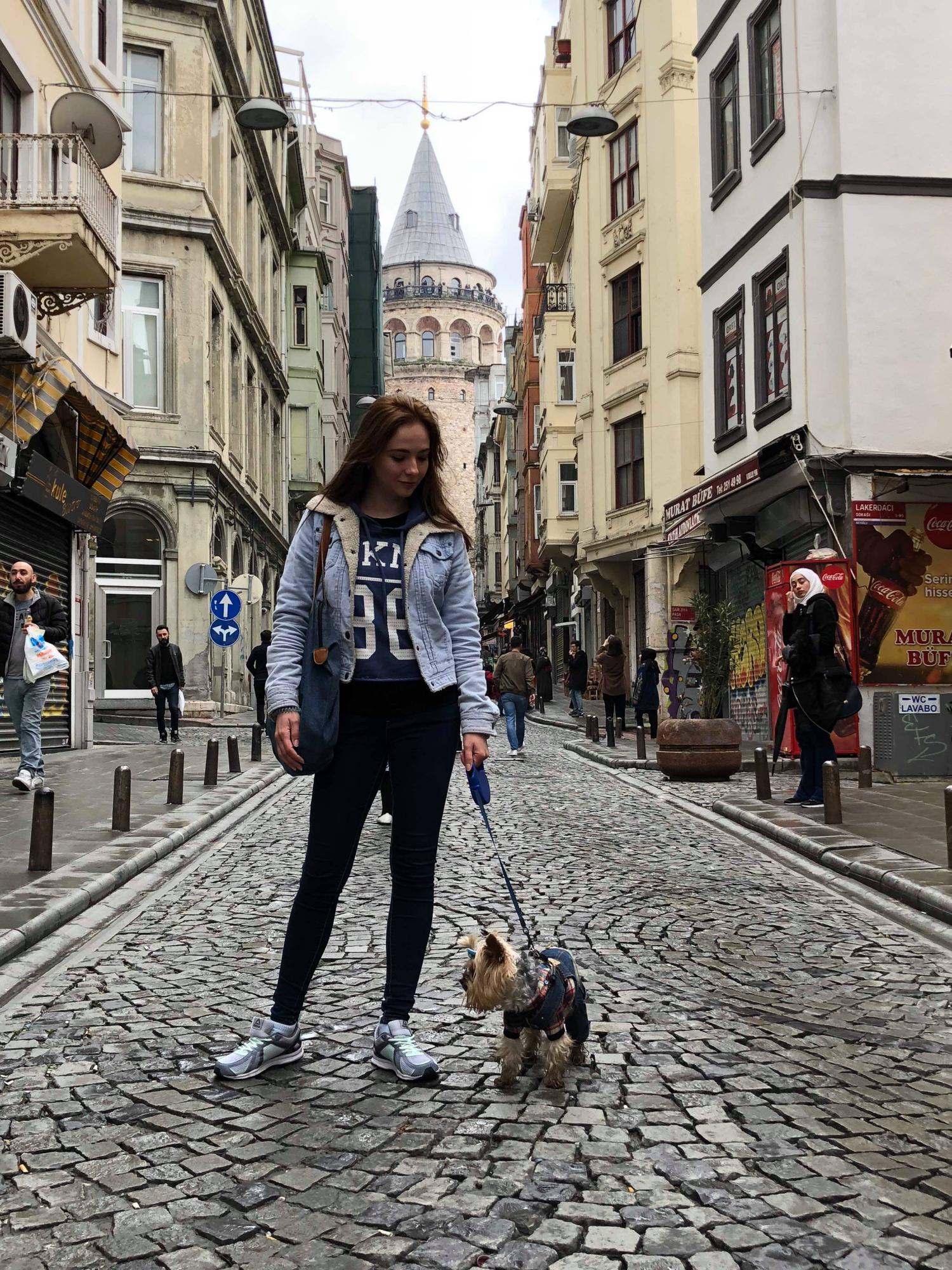 В отпуск с любимым питомцем: история блогера о путешествии в Стамбул с йоркширским терьером