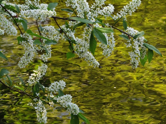 Не тільки Синевир: мальовничі водойми для затишного сімейного відпочинку в Україні