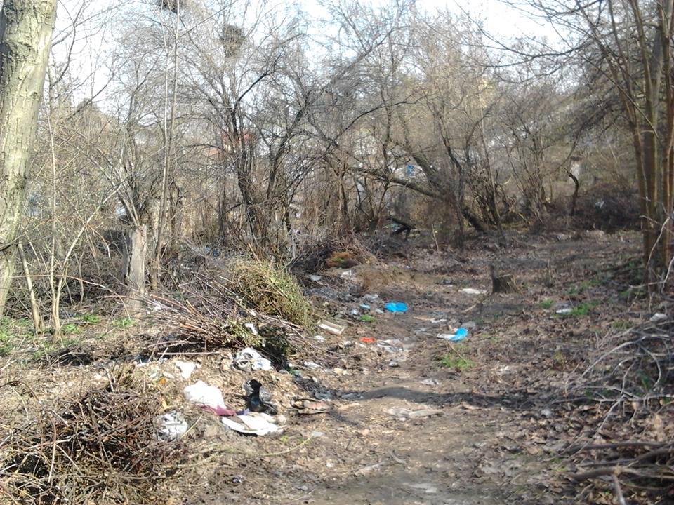 "Как бороться": в сети показали плачевное состояние Батыевой горы в Киеве