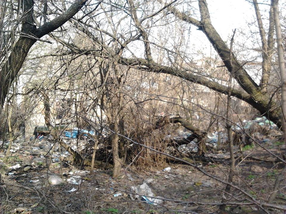 "Как бороться": в сети показали плачевное состояние Батыевой горы в Киеве