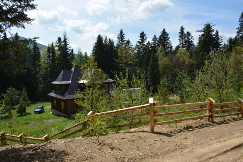 На Прикарпатье медведь нагло обворовывает пасеки (фото)