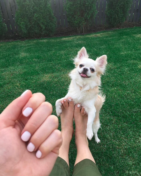 &quot;Нехай ревнує, іноді корисно&quot;: вагітна Тарабарова опублікувала провокаційний знімок (фото)