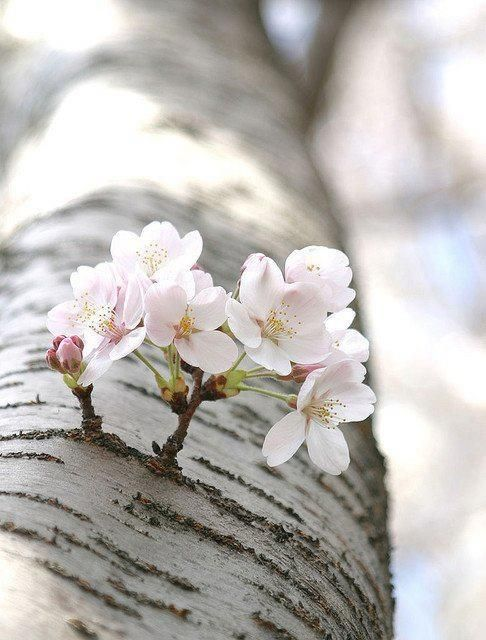 Синоптики дали прогноз погоди на 2 травня