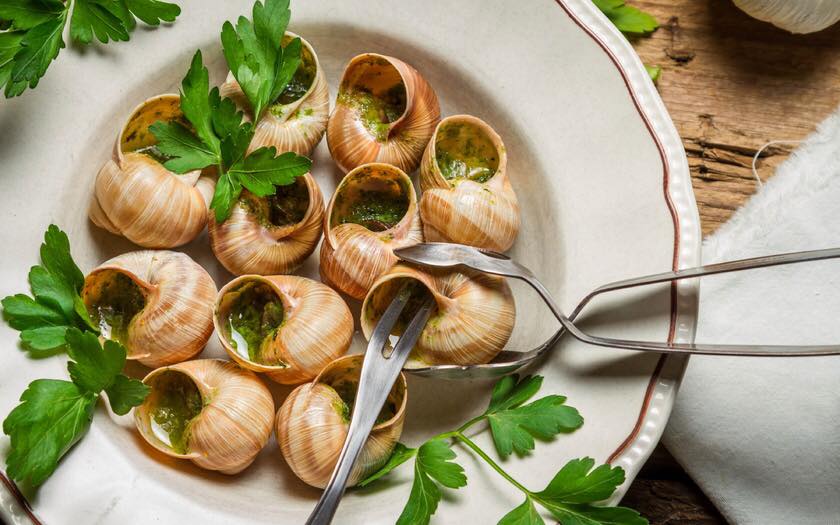 Справи допомагають забути війну: ветеран АТО після повернення з фронту створив равликову ферму