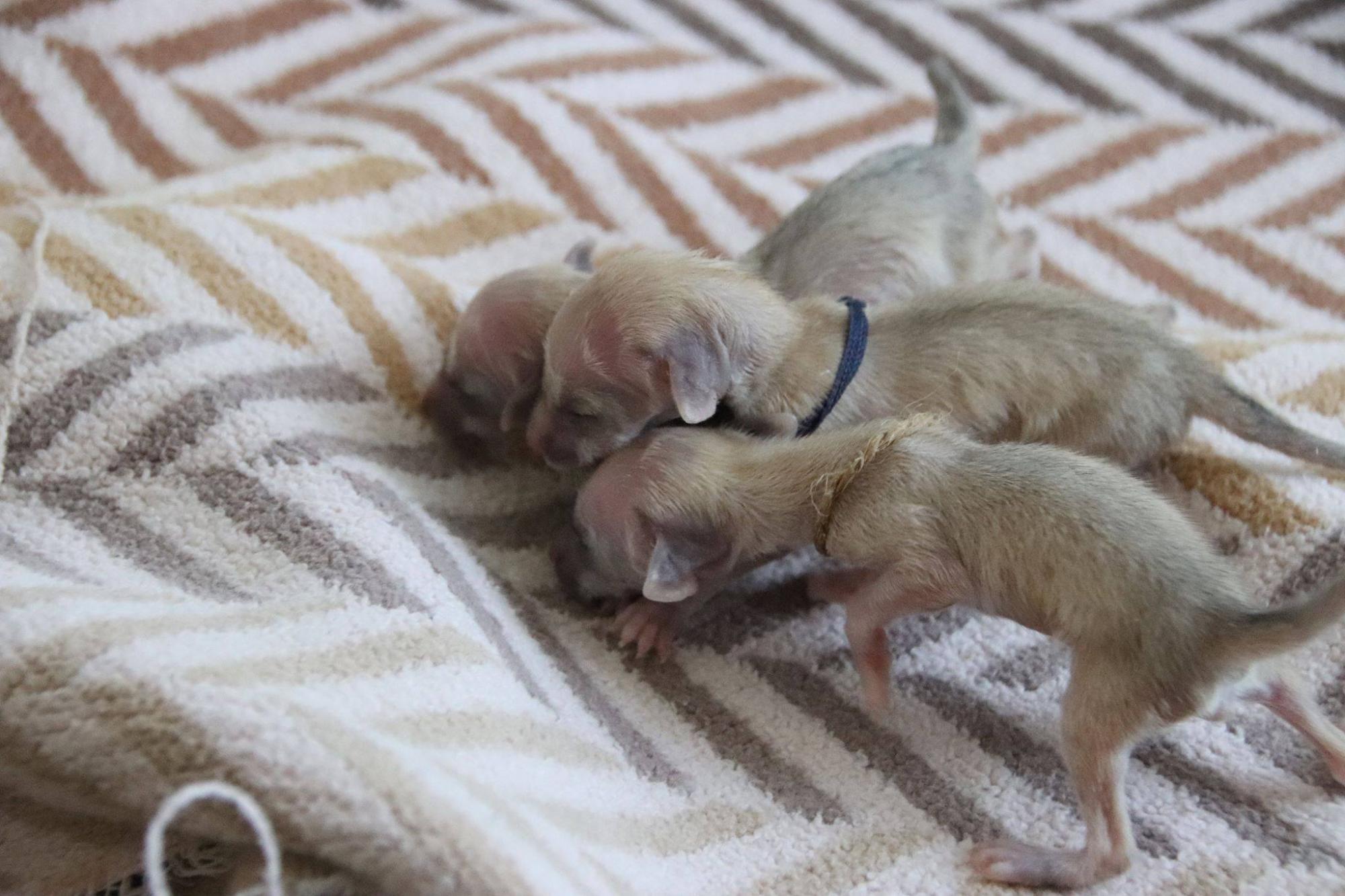 Кто это родился? В зоопарке под Киевом пополнение (фото)