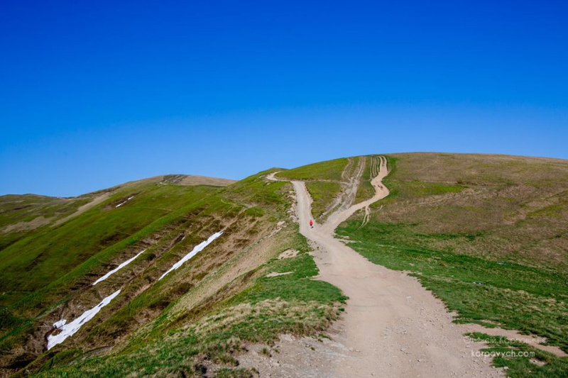 Весна во всей красе: в сети показали потрясающие фото Карпат