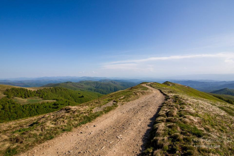 Весна во всей красе: в сети показали потрясающие фото Карпат