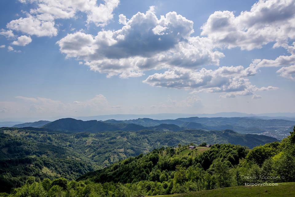 Весна во всей красе: в сети показали потрясающие фото Карпат
