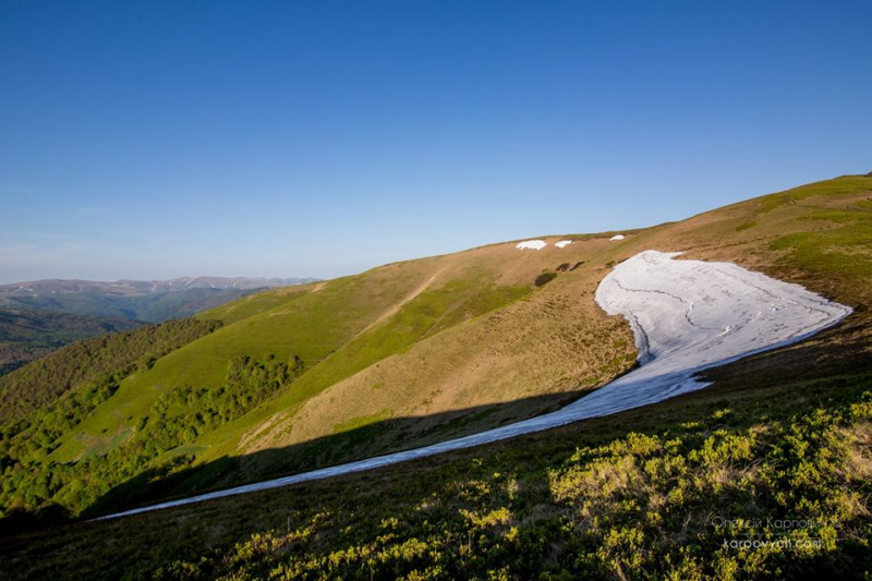Весна во всей красе: в сети показали потрясающие фото Карпат