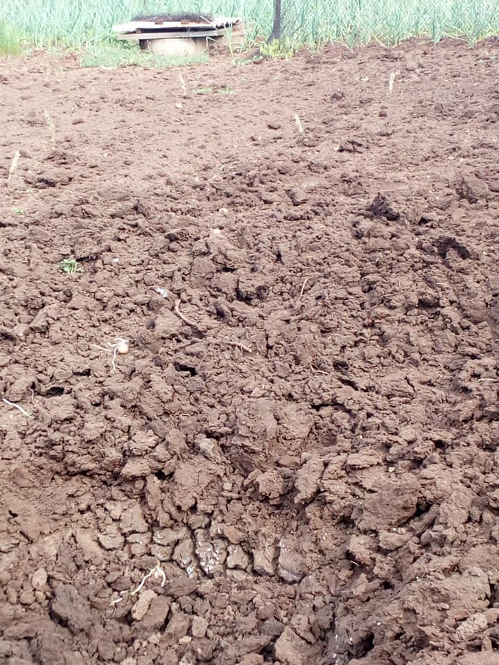 В сети показали, как боевики обстреляли Зайцево (фото)