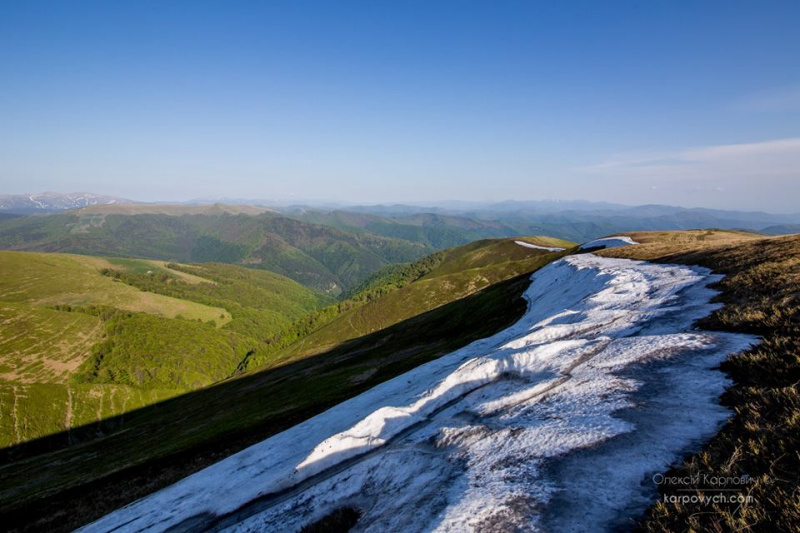 Весна во всей красе: в сети показали потрясающие фото Карпат