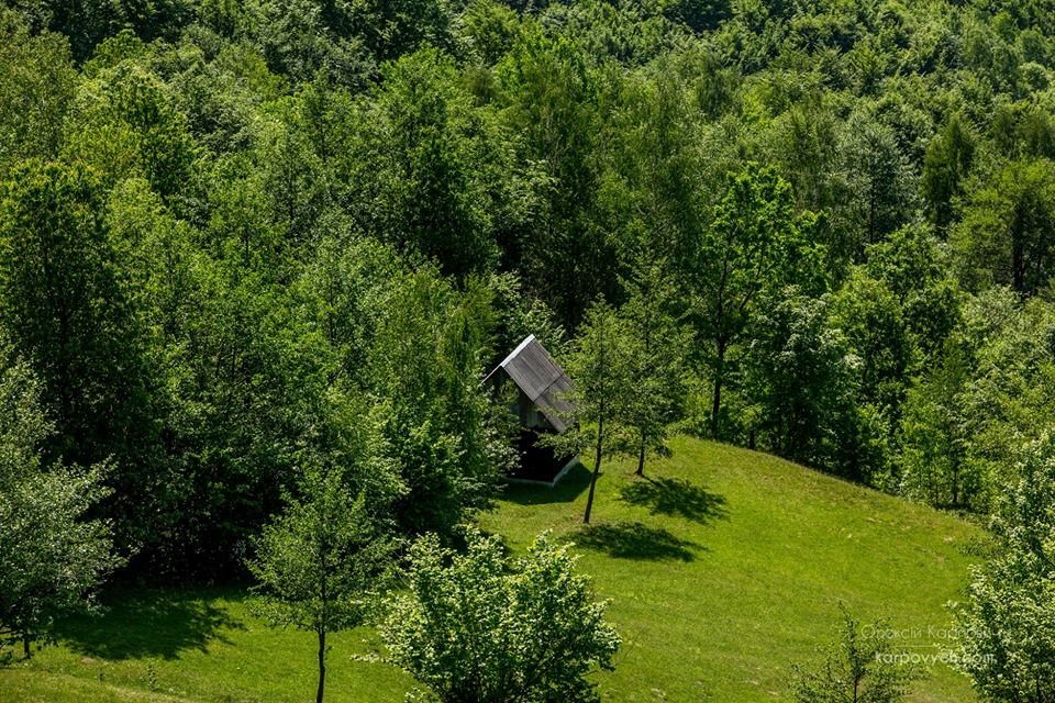 Весна во всей красе: в сети показали потрясающие фото Карпат