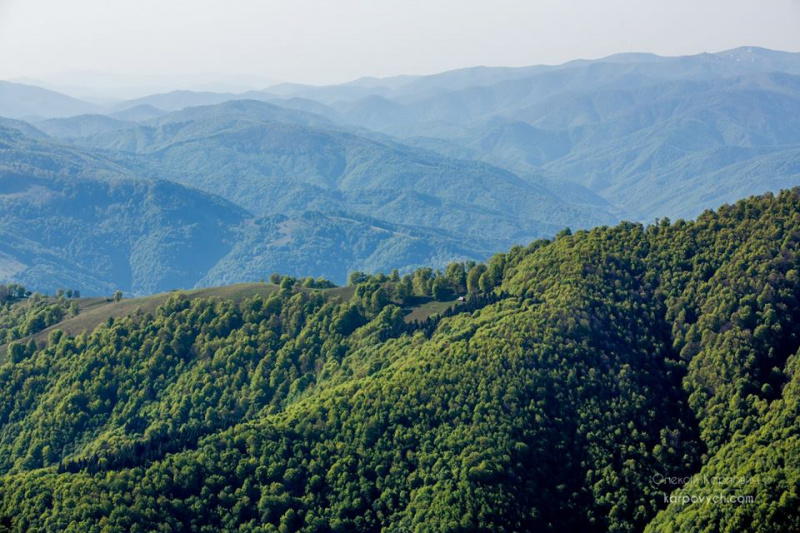 Весна во всей красе: в сети показали потрясающие фото Карпат