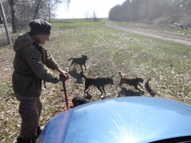 Нужна помощь: в Полтавской области могут погибнуть более 30 животных