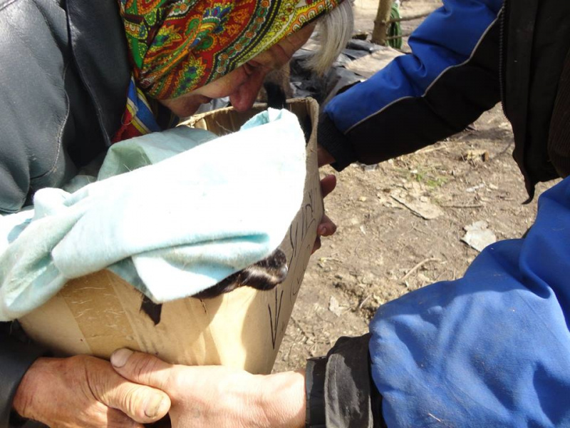 Нужна помощь: в Полтавской области могут погибнуть более 30 животных