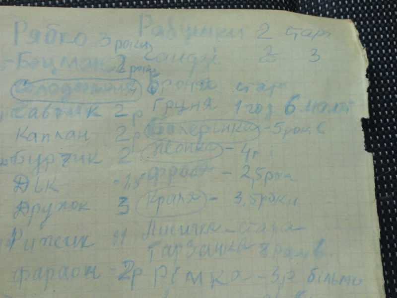 Нужна помощь: в Полтавской области могут погибнуть более 30 животных