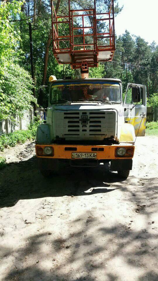 У київському парку пиляють дерева: у соцмережі обурені