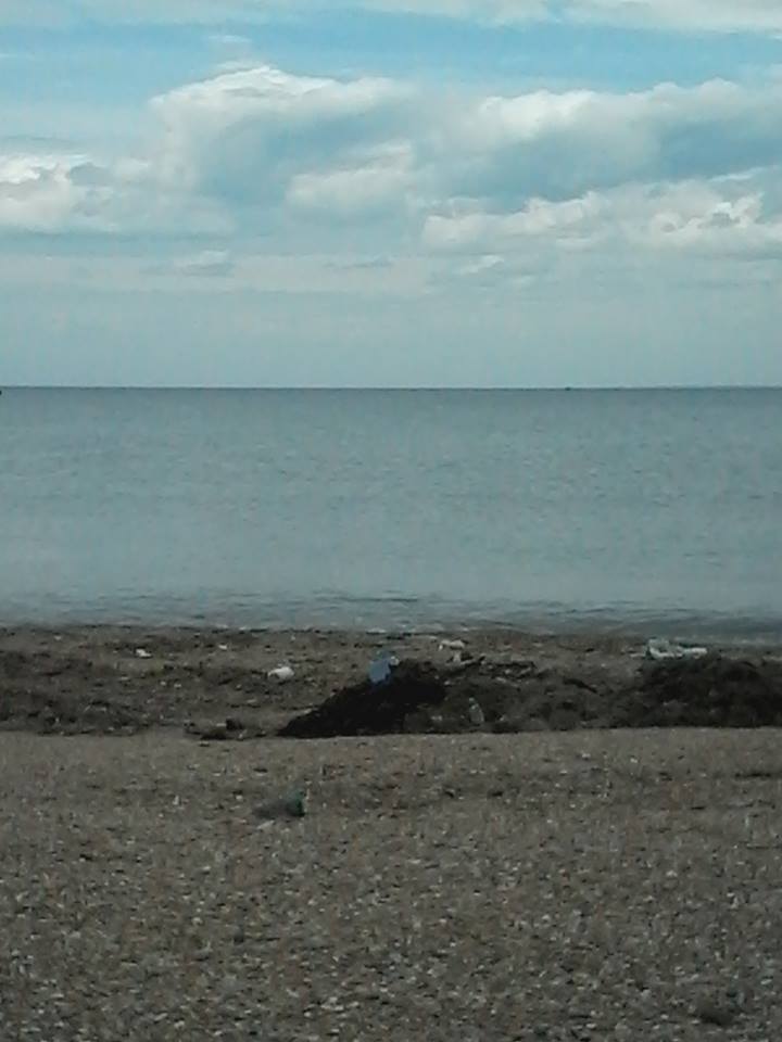 &quot;Дешевая водка у забора&quot;: в сети рассказали о туристах из России в оккупированном Крыму