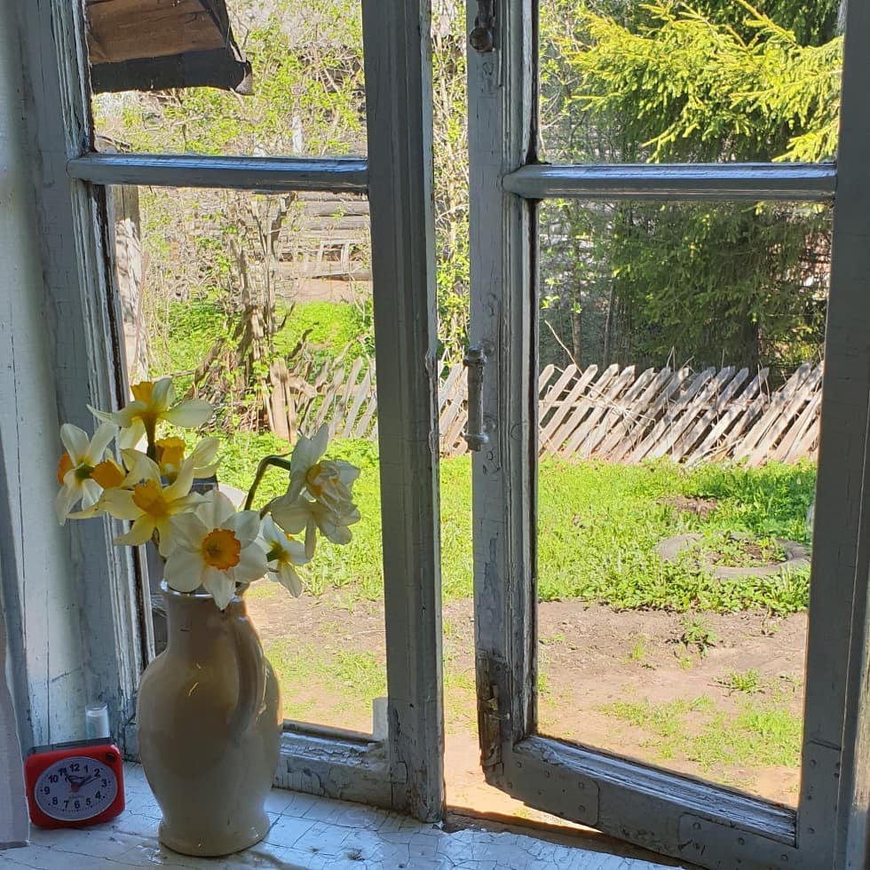 "Несподіване щастя": рідні влаштували зворушливий сюрприз для Брежнєвої (фото)