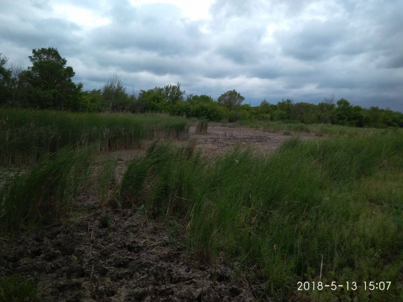 Затопление шахты "Юнком": в сети показали экологическую ситуацию на Донбассе (фото)