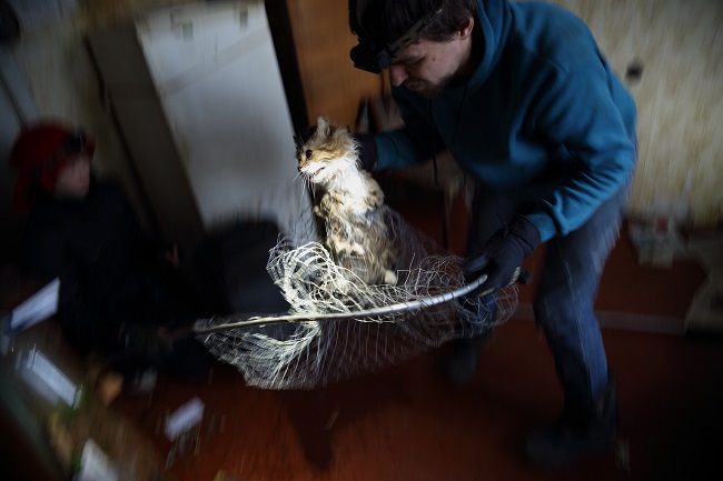 Спасатели животных