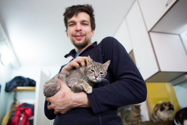 Помочь команде спасения животных в Киеве