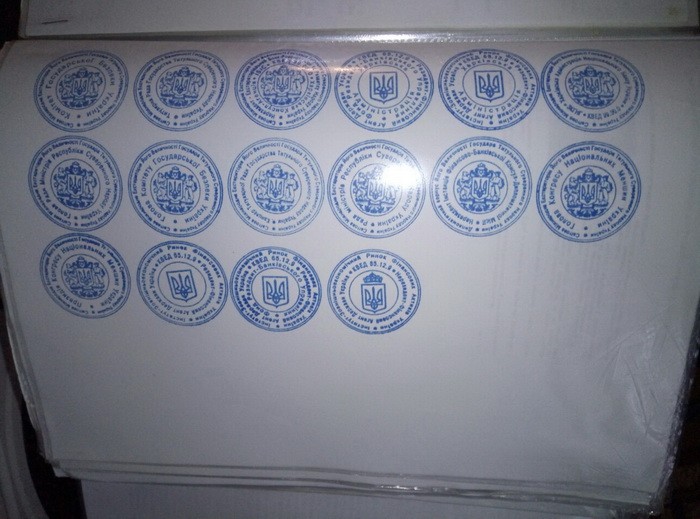 "Титульний суверенний народ України": СБУ ліквідувала псевдодержаву в Чернігівській області