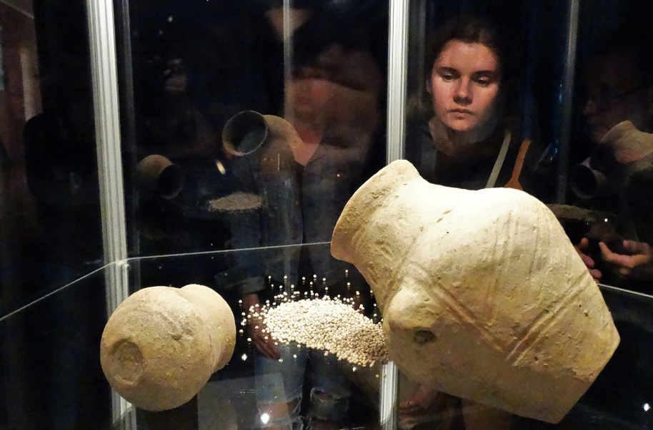 В Черкасской области показали древнейшие в Европе семена