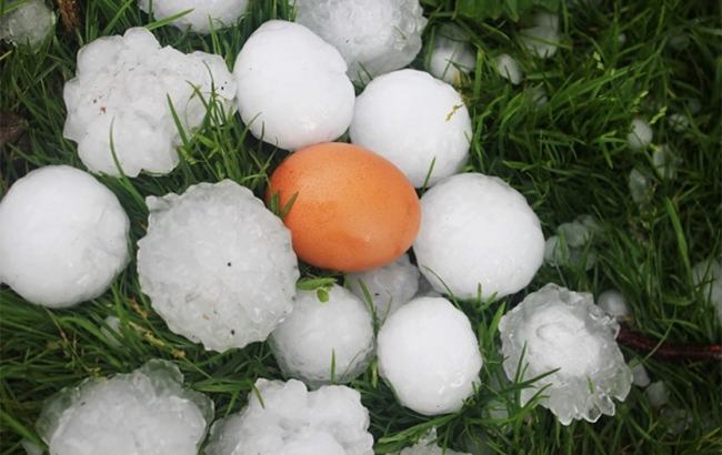 "Будет парить": синоптик дала прогноз погоды на ближайшие сутки