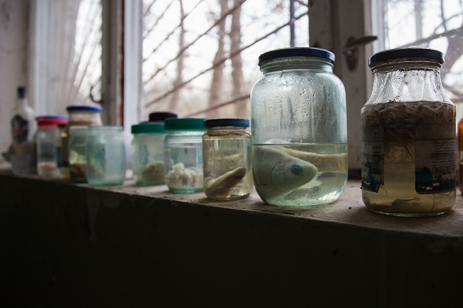 Рибне господарство в Чорнобильській зоні відчуження