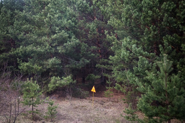 Чорнобильський біосферний заповідник