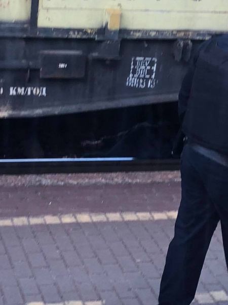 "Говорила по телефону": у Кіровоградській області вантажний поїзд збив жінку