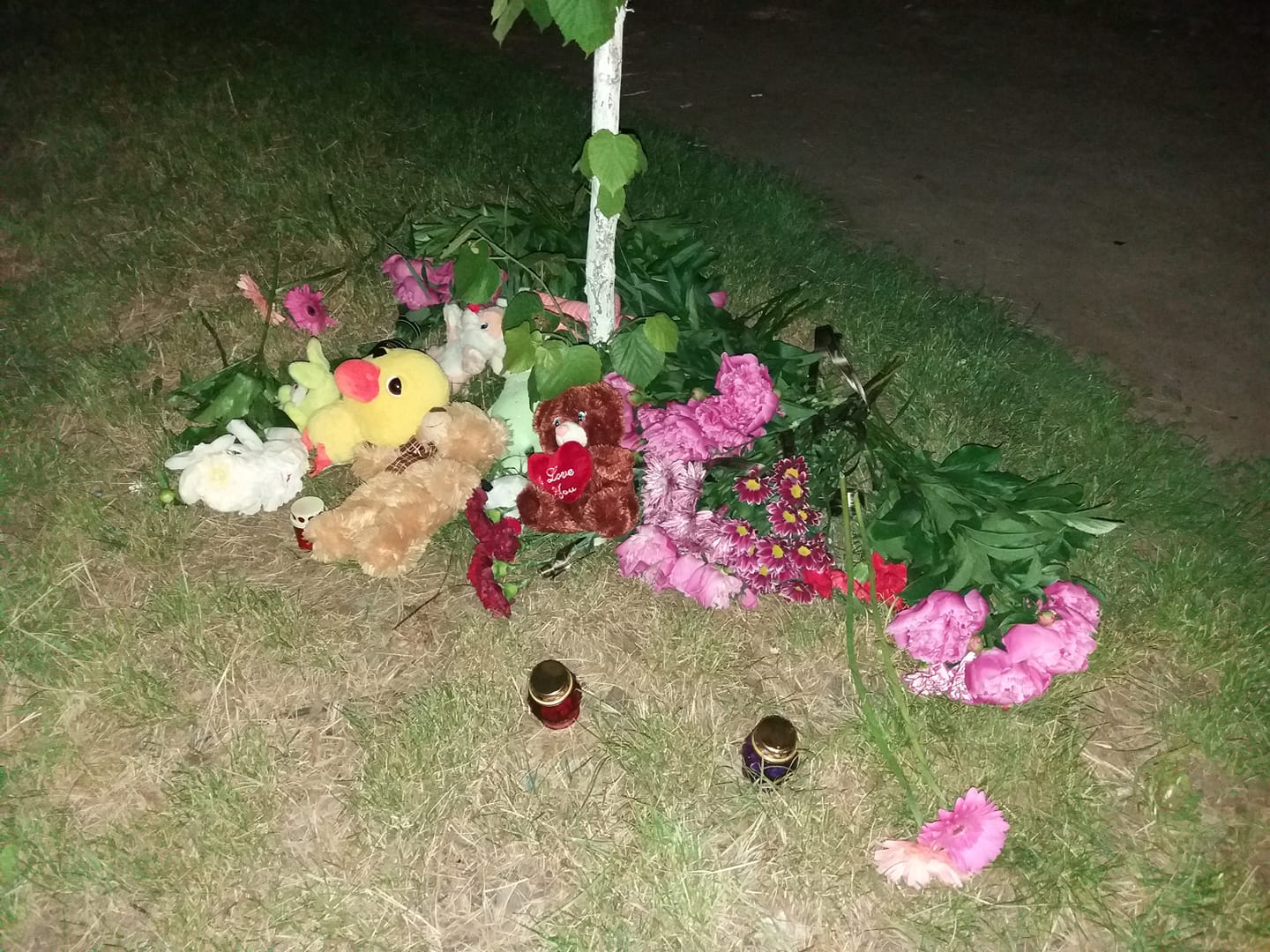 Українців просять допомогти дівчинці, яку збив автобус під Києвом