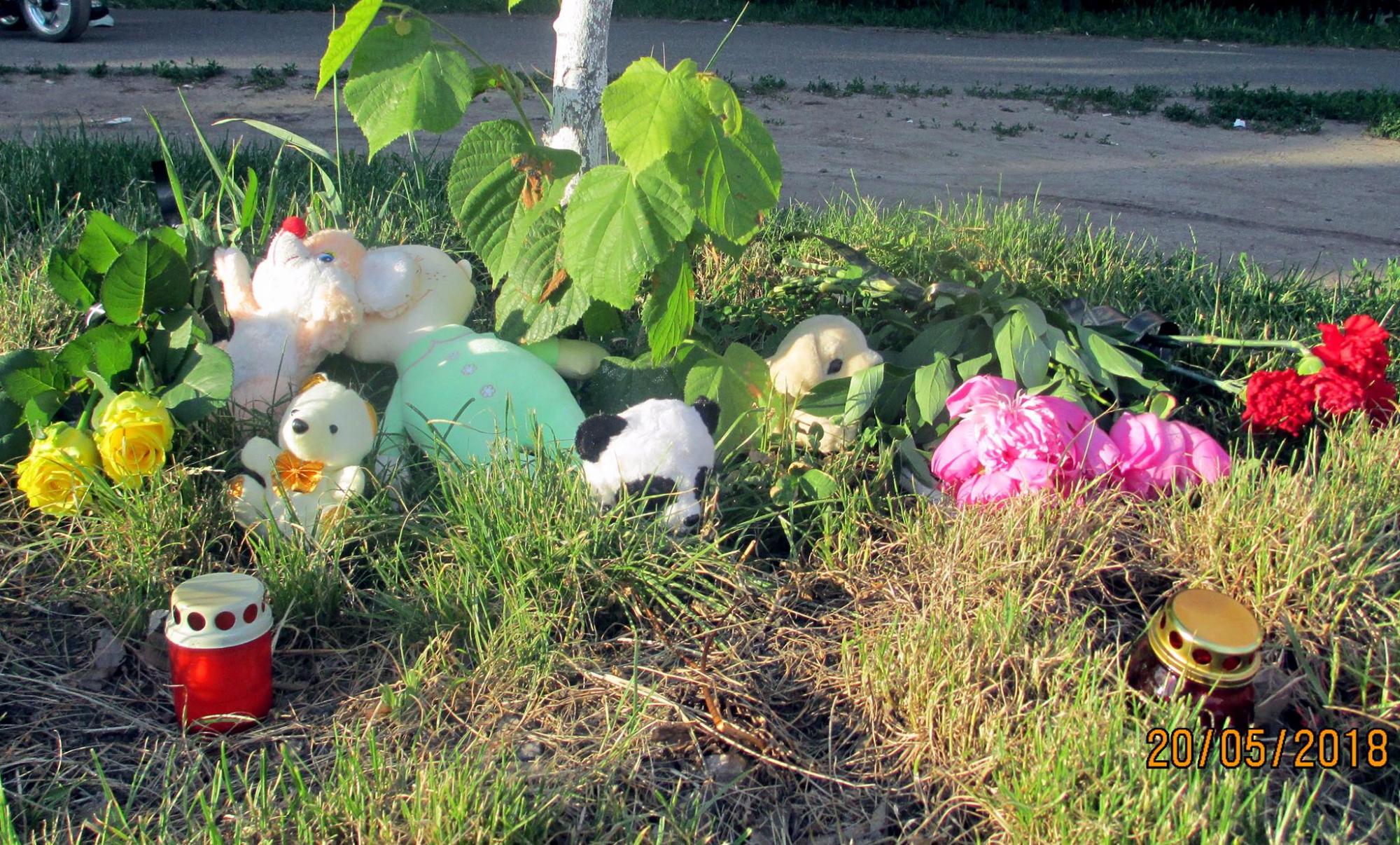 Українців просять допомогти дівчинці, яку збив автобус під Києвом