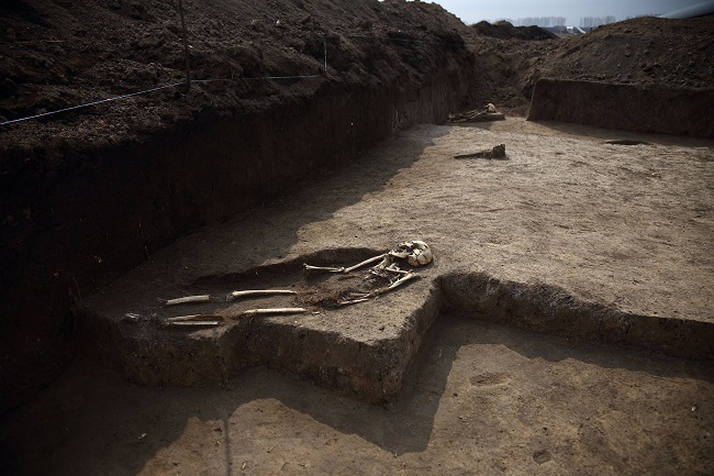 Могильник Черняхівської культури