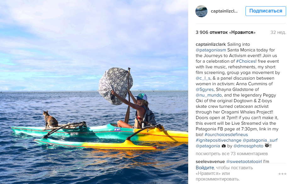 Кішка стала зіркою Instagram завдяки морським подорожам