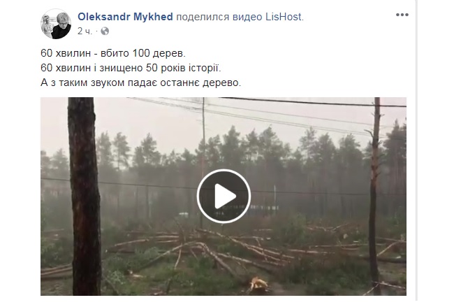 Под Киевом за один день вырубили около сотни 50-летних сосен (видео)