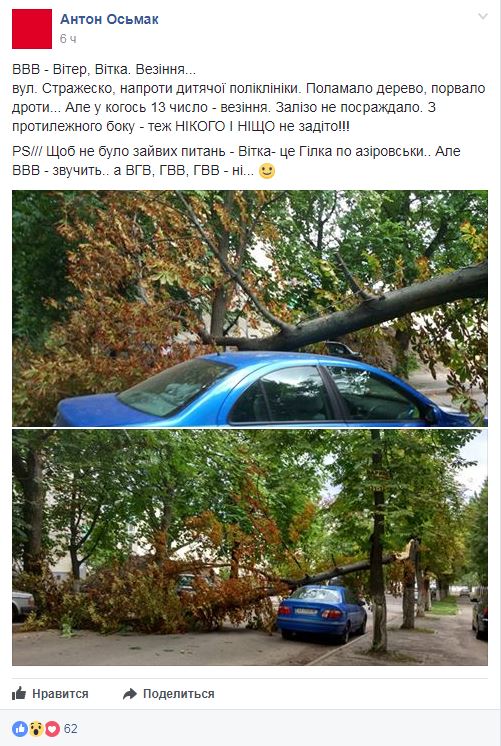 В Киеве на автомобиль рухнуло дерево, оставив его целым