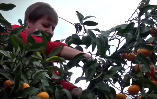 &quot;Из-за нищеты ездят на заработки&quot;: блогер рассказал, как выживают жители &quot;ЛДНР&quot;